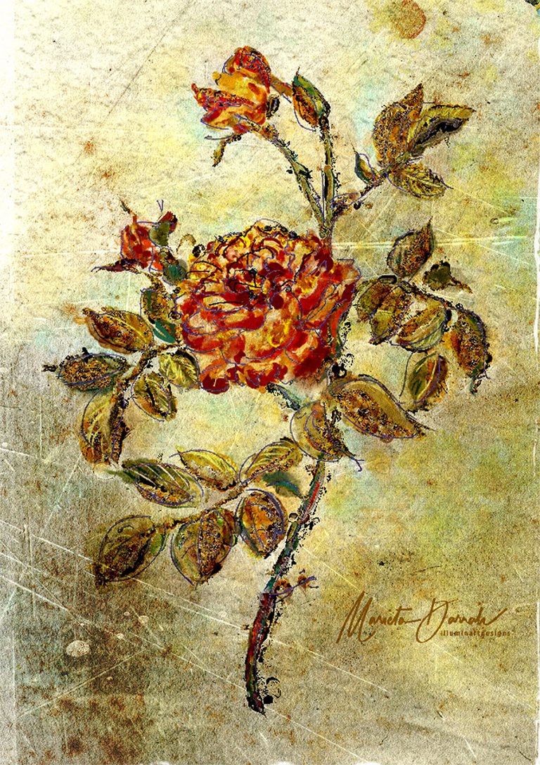 Paintings Of Roses In A Vase Illuminart Designs