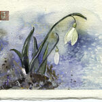 Snowdrop Spring Card